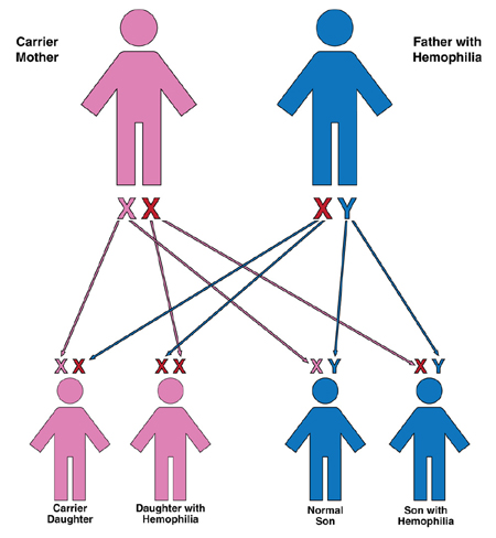 Figure 2-6