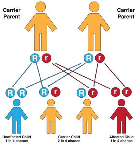 Figure 3-4