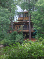 treehouse