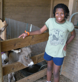 Camp 2010 farm