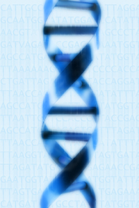 DNA