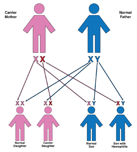 Figure 2-5