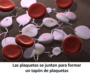 plaquetas