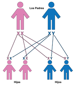 GTHTinderholt - El aborto. ¿Crimen o un derecho? - Página 58 201304221_fig22