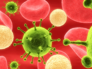 Virus de la hepatitis