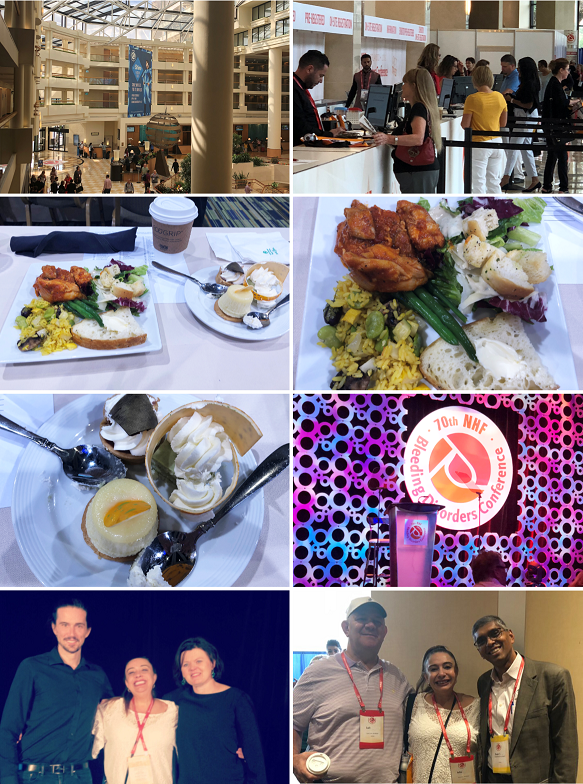 Julias trip to the 2018 NHF conference in Orlando collage