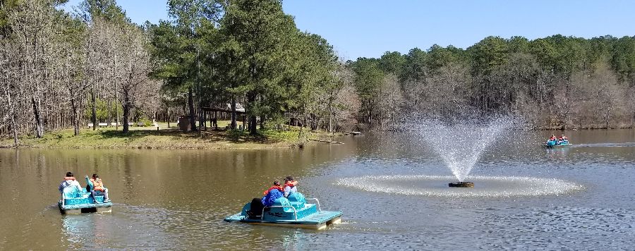 paddle boats on a pond