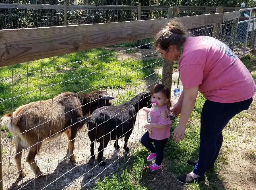 woman with small girl and goats