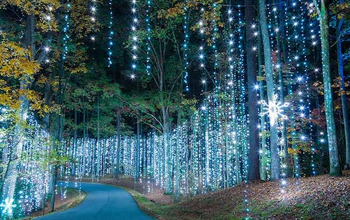 snowflake lights at calloway garden 2019