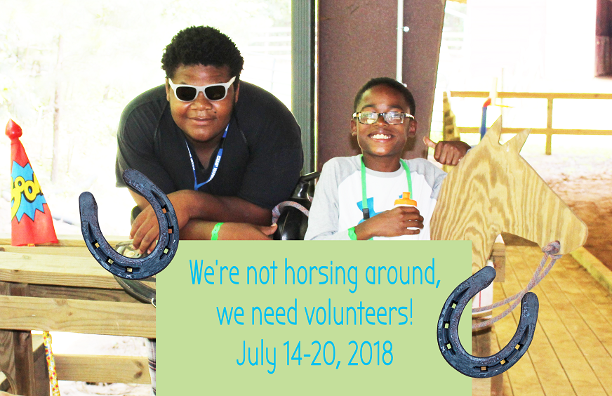 Camp Wannaklot Volunteers Needed