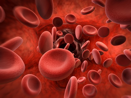 Stock image of microscopic blood inside a vessel