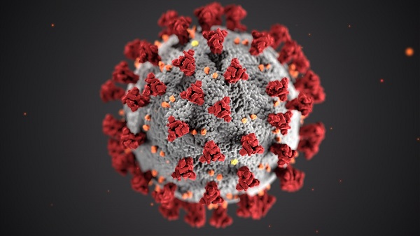 Coronavirus Graphic NHF Letter